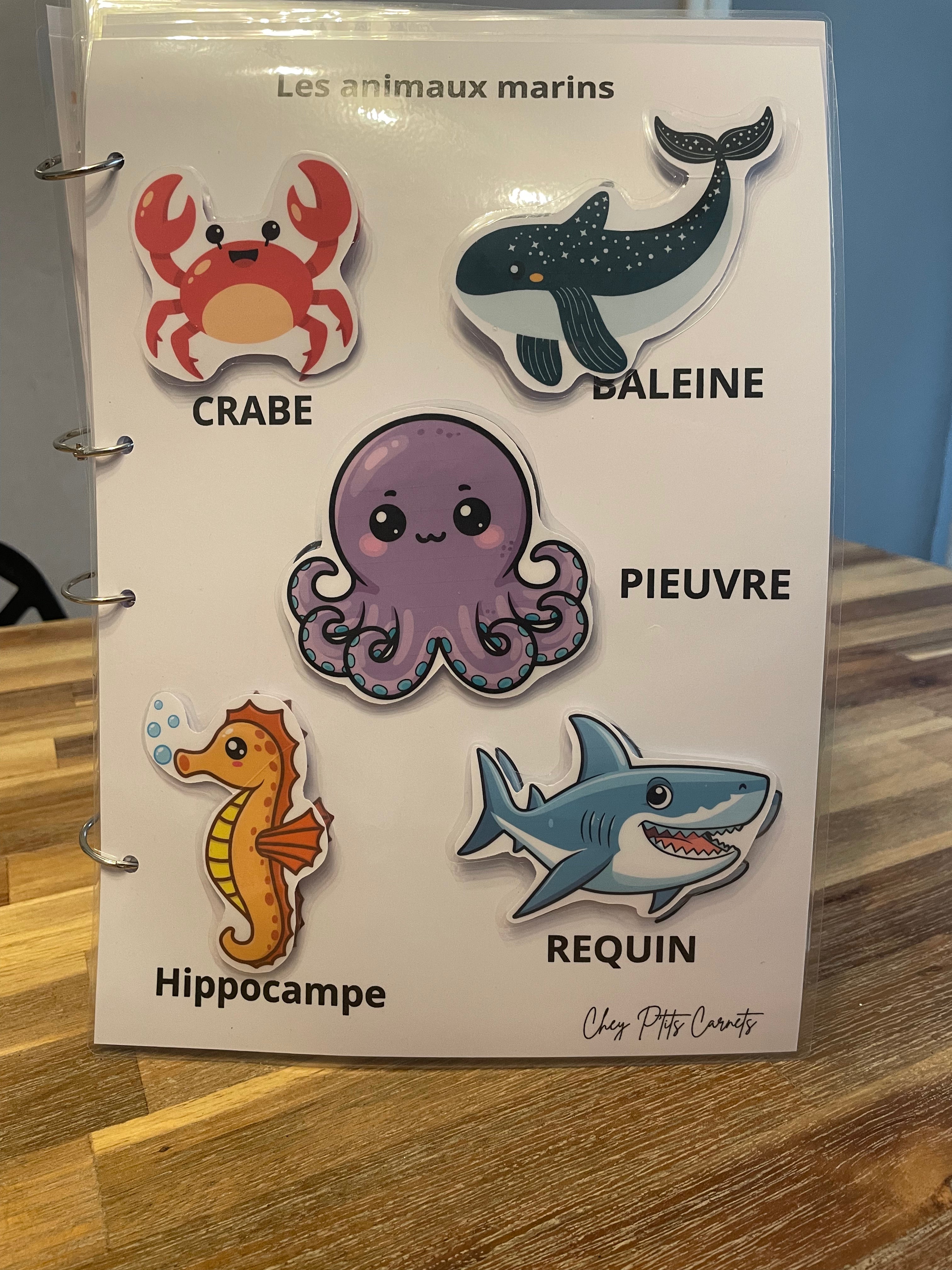 Carnet 18 mois à 2 ans