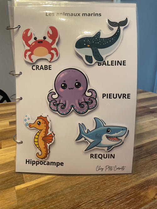 Carnet 18 mois à 2 ans