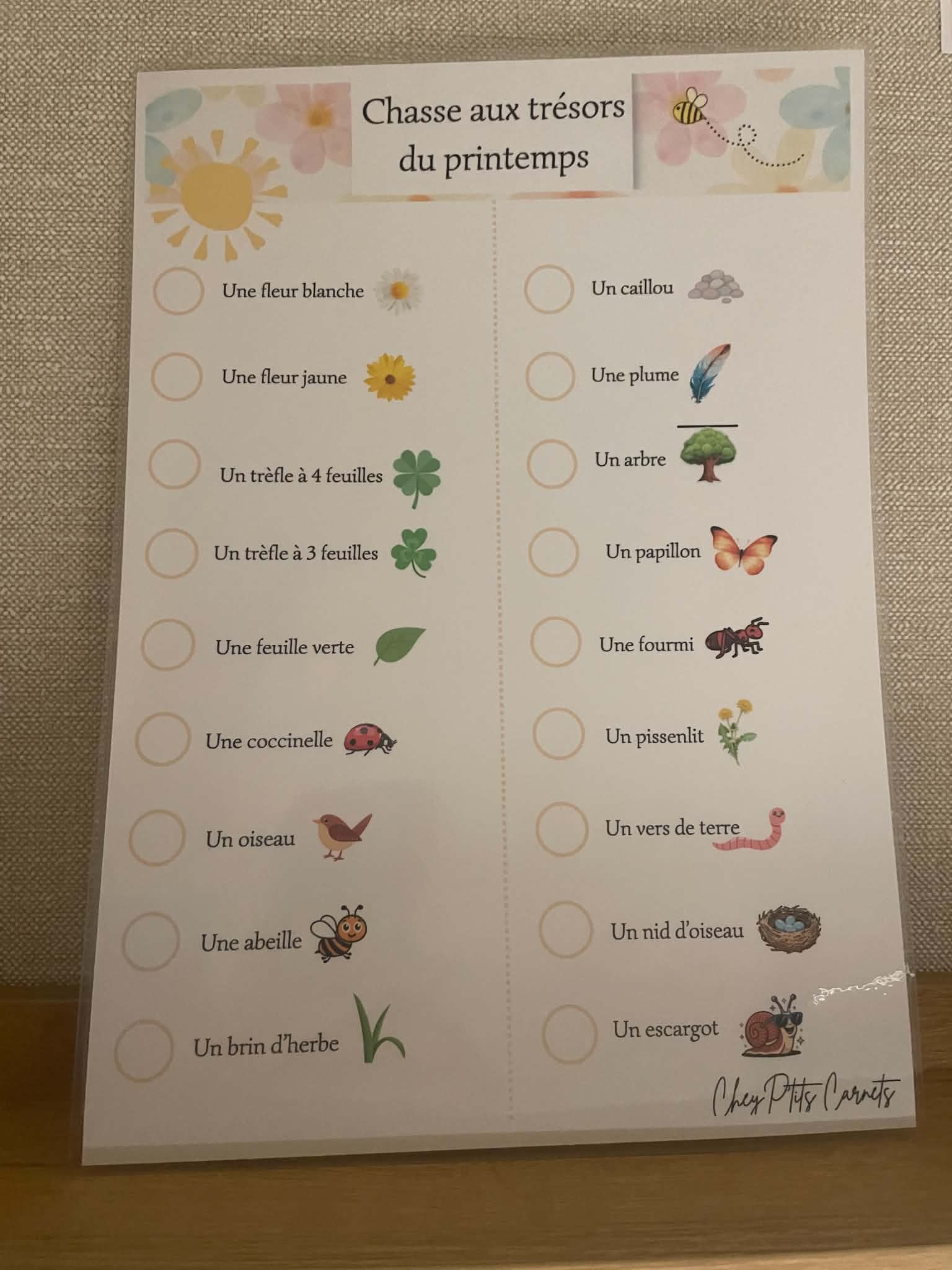 Chasse aux trèsors du printemps